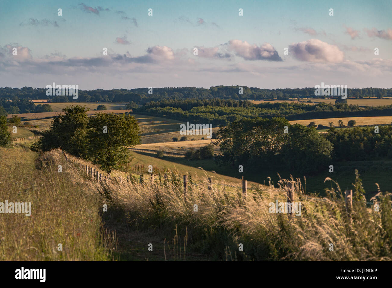 Eine Graslandschaft in Gloucestershire im Sommer Stockfoto