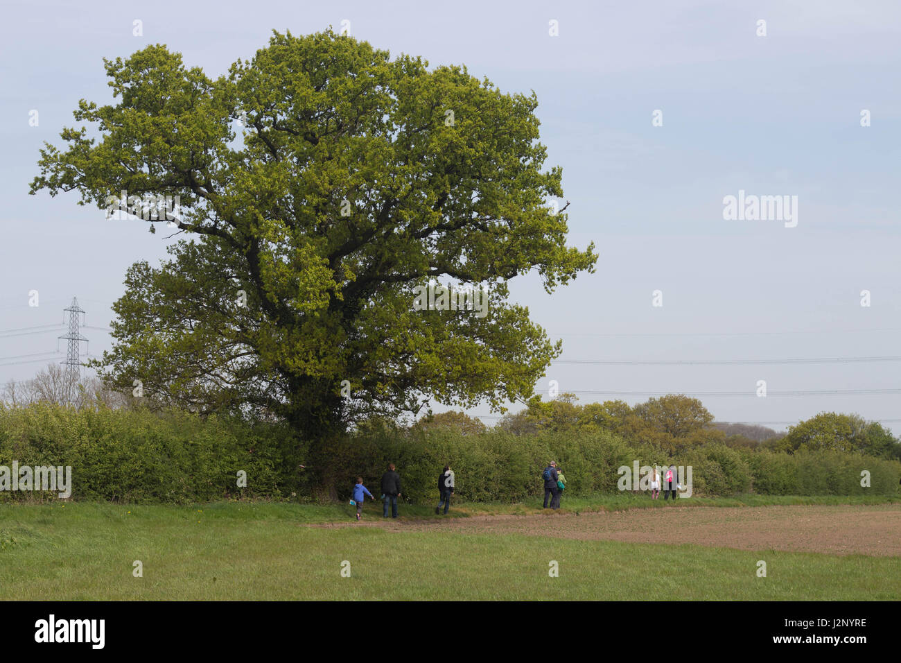 Cottingham, UK. 30. April 2017. Dove House Sponsored Walk - Geldbeschaffung um Taube Haus Hospiz, eine Wohltätigkeitsorganisation, die Betreuung von unheilbar kranken Patienten zu unterstützen. Bildnachweis: Matthew Appleyard/Alamy Live-Nachrichten Stockfoto