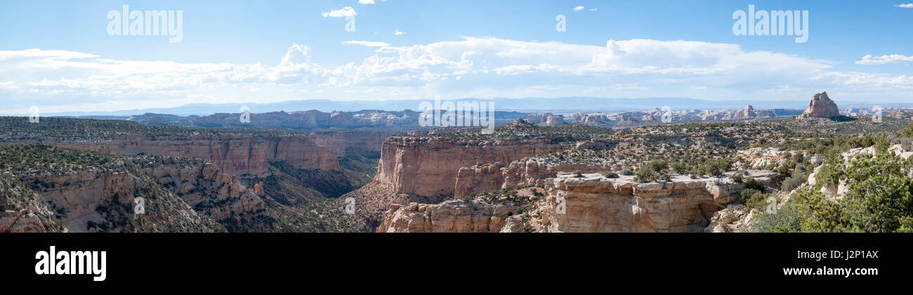 Mehrere Bilder werden miteinander vernäht, um ein Panorama auf einen Canyon in Utah in der Nähe von San Rafael Swell zu erstellen. Stockfoto