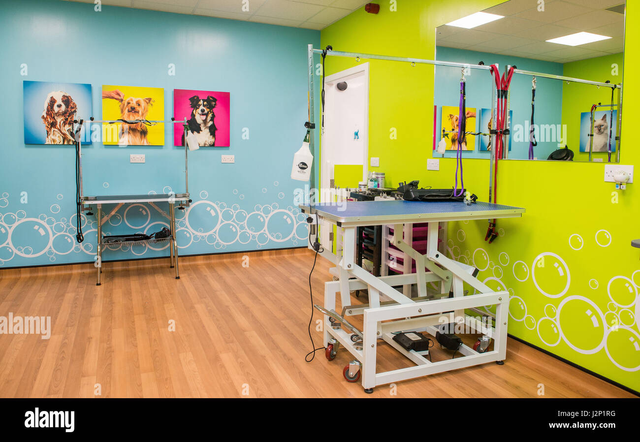 Haustiere bei der Eröffnung des Home Store, Lanark Stockfoto