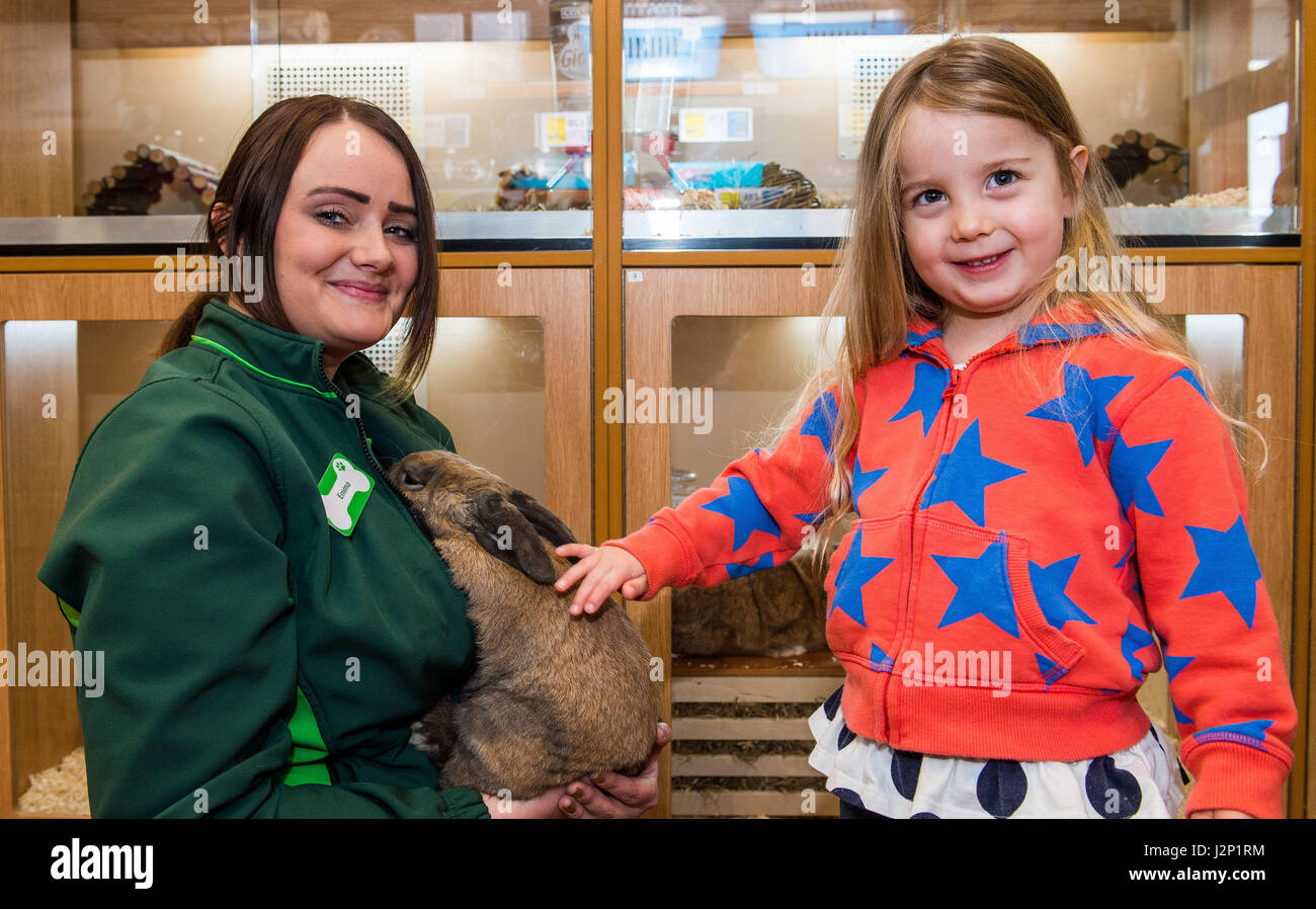 Haustiere bei der Eröffnung des Home Store, Lanark Bild: Mitarbeiterin Emma Campbell mit Elmo the rabit und Eilidh Watson 3 Stockfoto