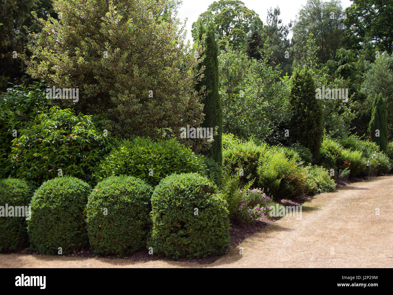 Painshill im Theaterstil Strauch Pflanzen Stockfoto