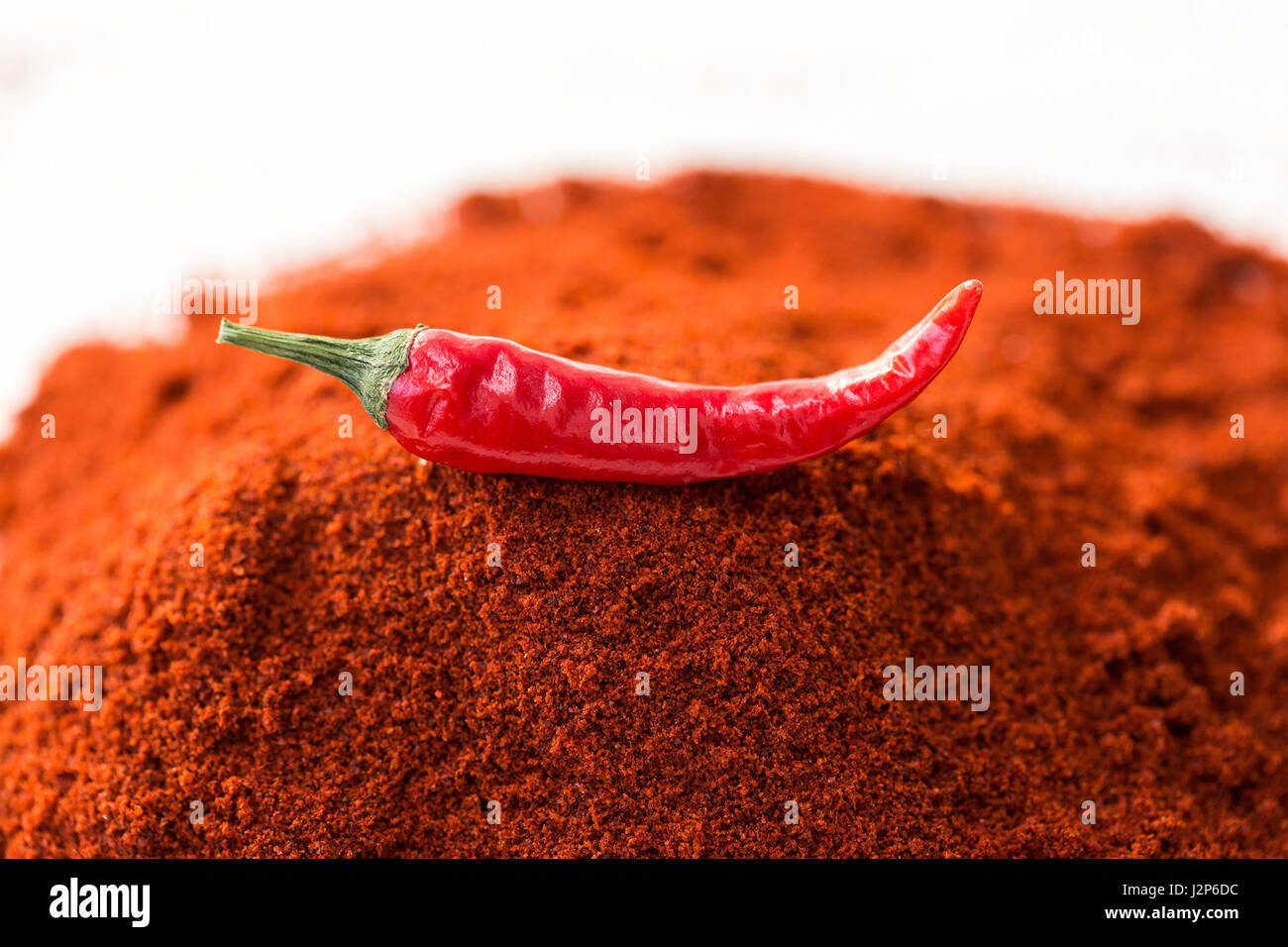 Chili rote Peperoni, Konzept der beliebten Gewürz - leckere saftige Pod Chili Paprika ist isoliert auf rotem Curry-Pulver, Boden getrocknet indischen berühmte Mischung. Stockfoto