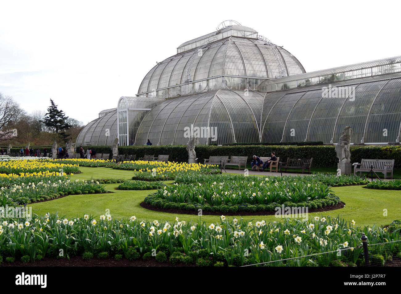 Das Palm House, Kew Gardens, London, England. Stockfoto