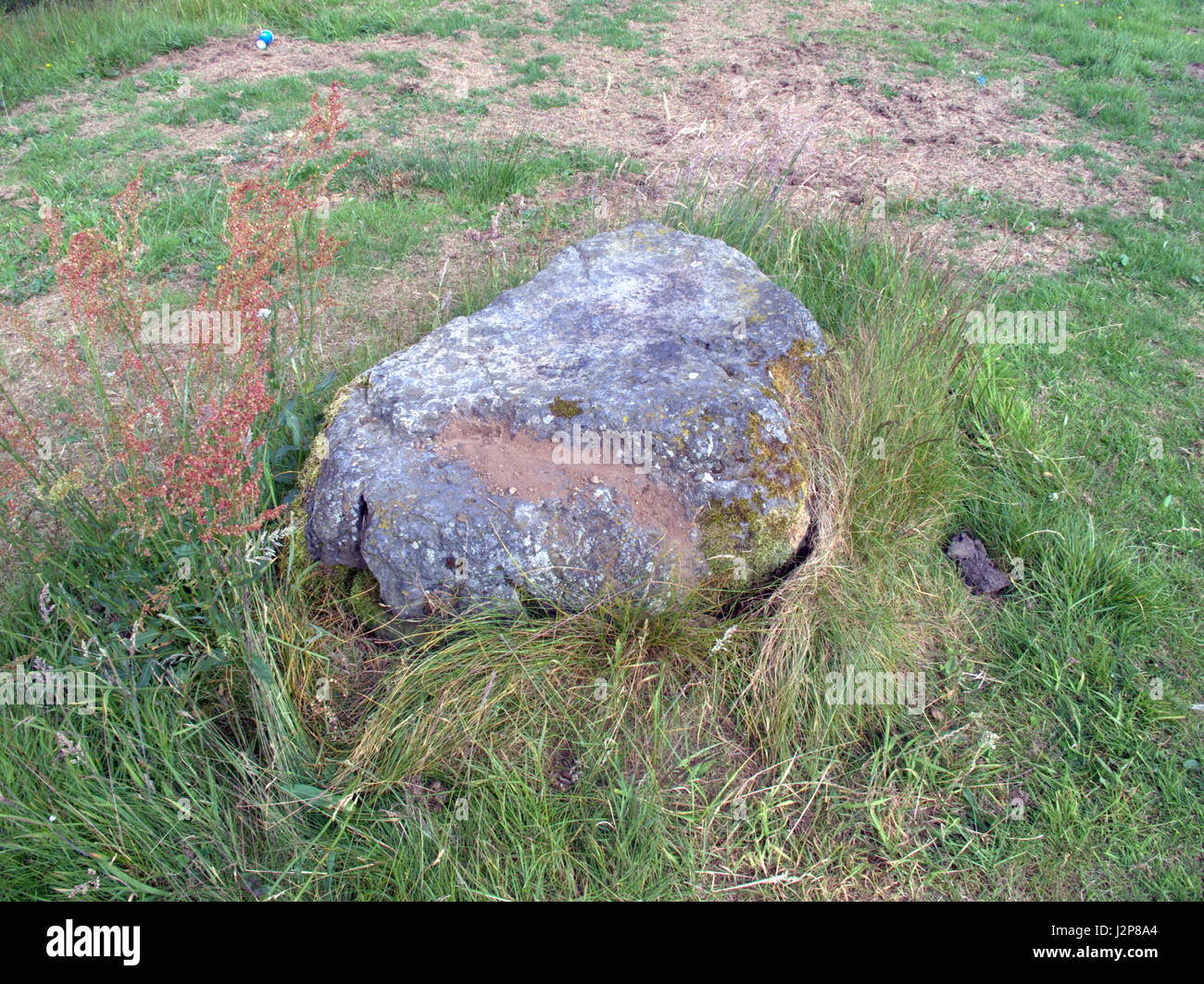 Catkin Braes Country Park-Legende hat es Mary Queen of Scots beobachtete Niederlage von catkin Braes.ans setzte diesen Stein daher das Souvenir Jäger Schaden Stockfoto