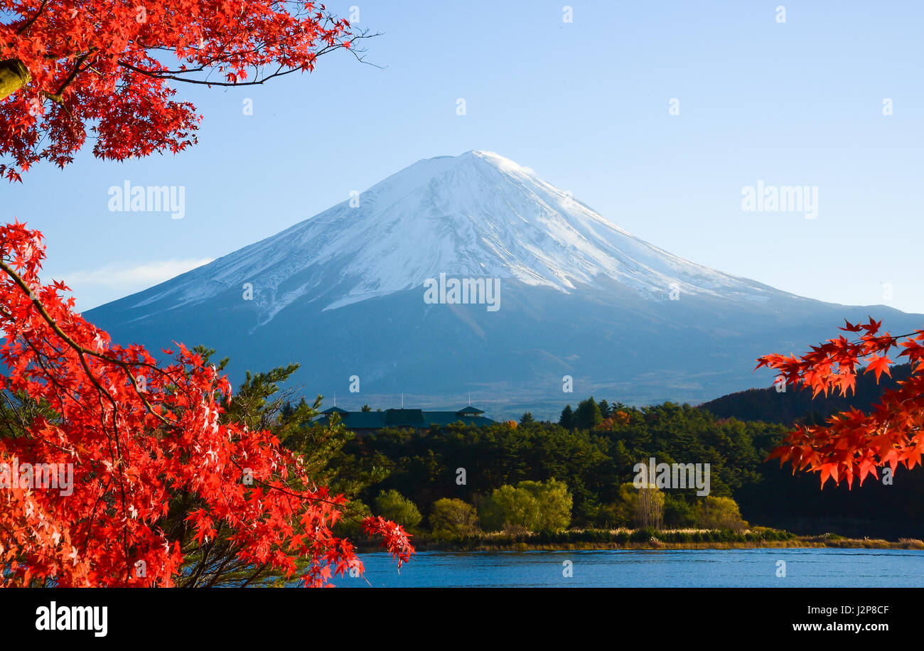 Mt.Fuji im Herbst Stockfoto