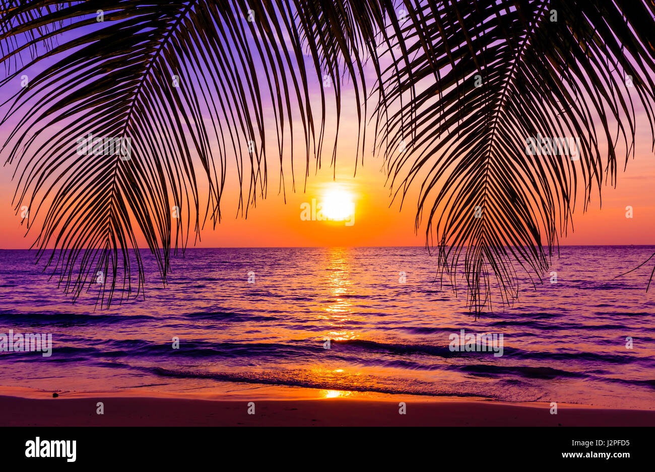 Schöner Sonnenuntergang.  Sonnenuntergang über dem Meer mit tropischen Palmen.  Paradiesstrand Stockfoto