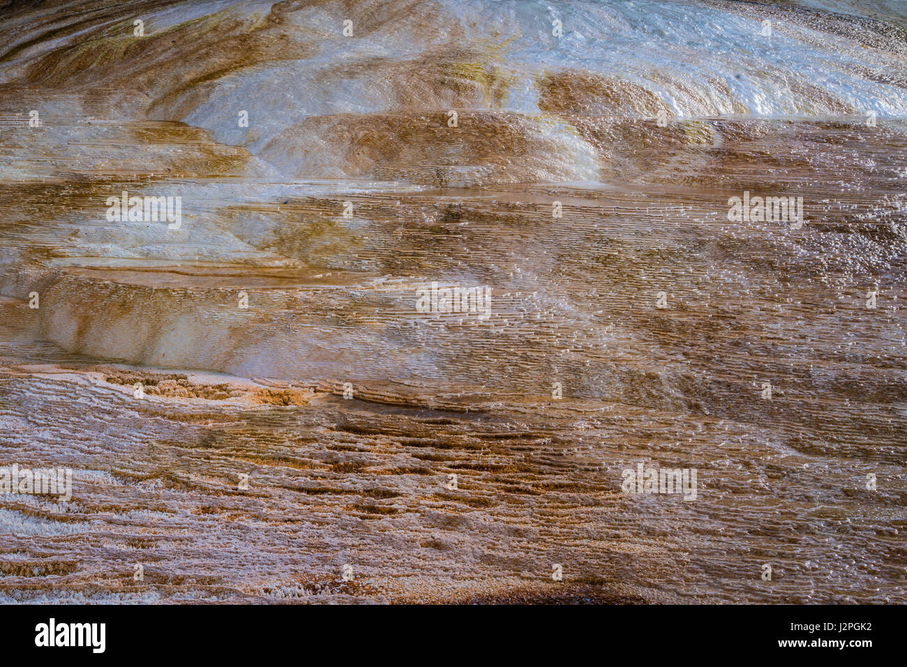 Detail mit geologischen Strukturen der Terrassen im Yellowstone-Nationalpark, Wyoming Stockfoto