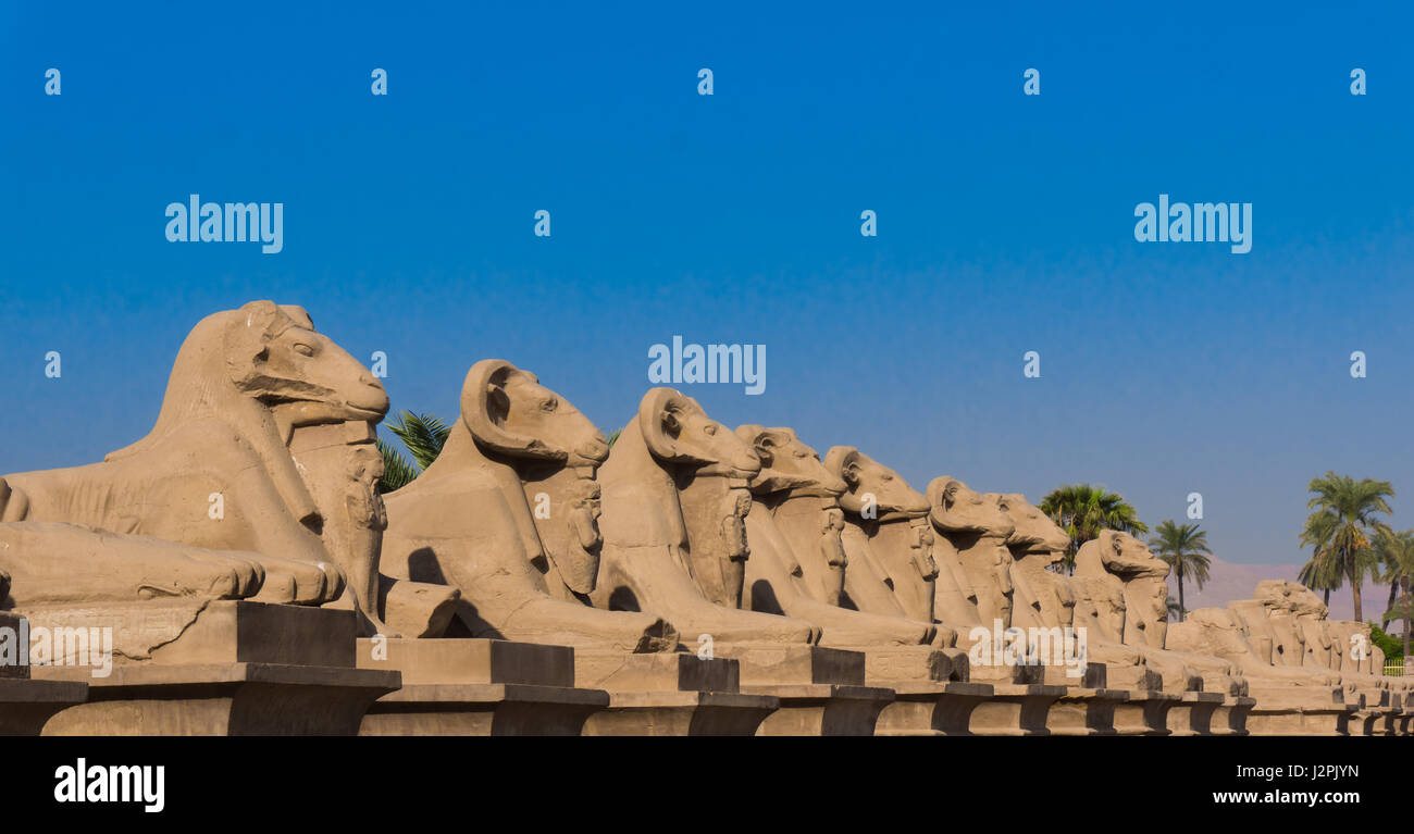 Sphinx-Allee in Luxor. Amun-Tempel von Luxor. Ägypten Stockfoto