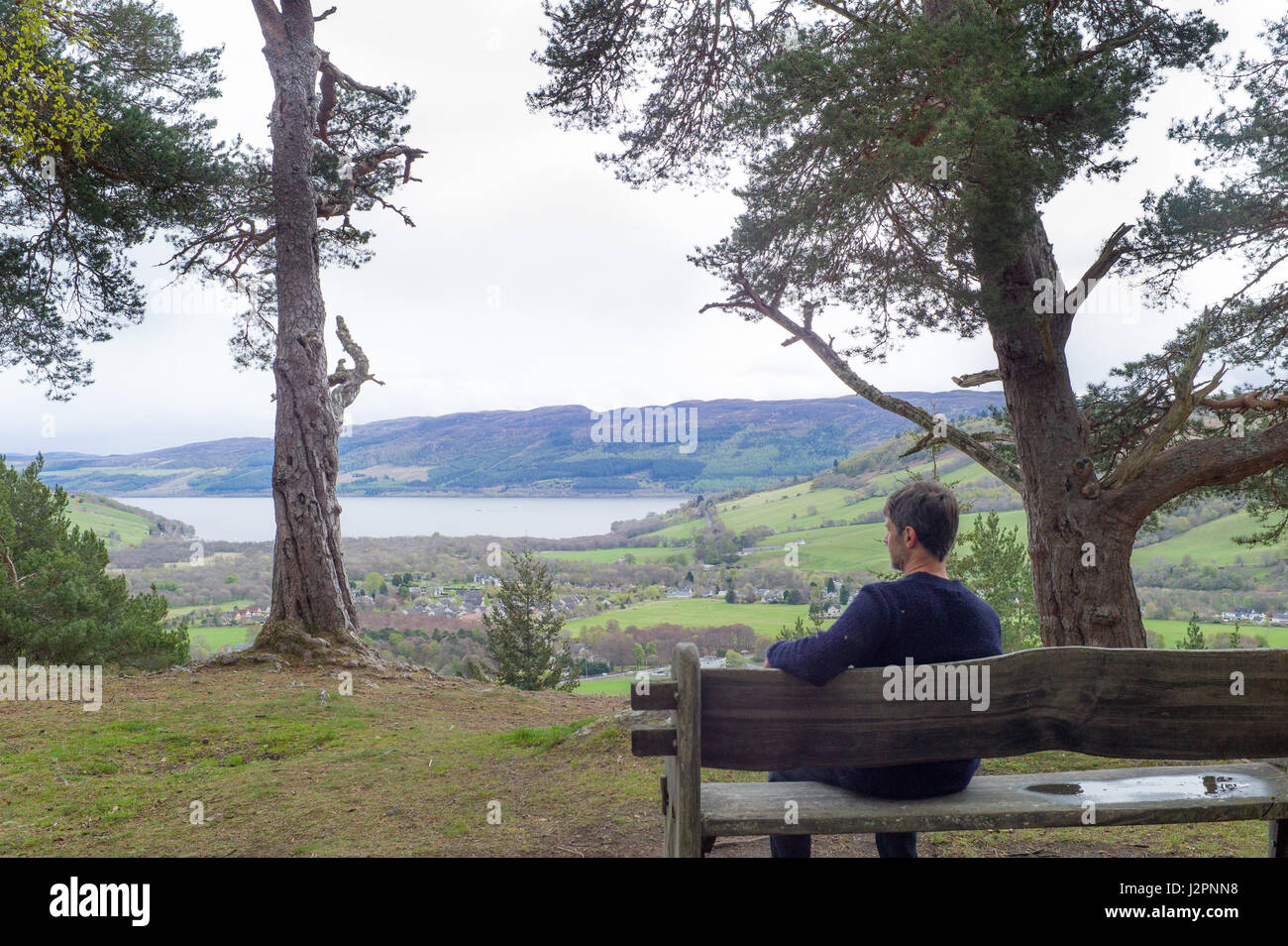 Aussichtspunkt in Woodland Trust Balmacaan Wald mit Blick auf Drumnadrochit Inverness Schottland Stockfoto