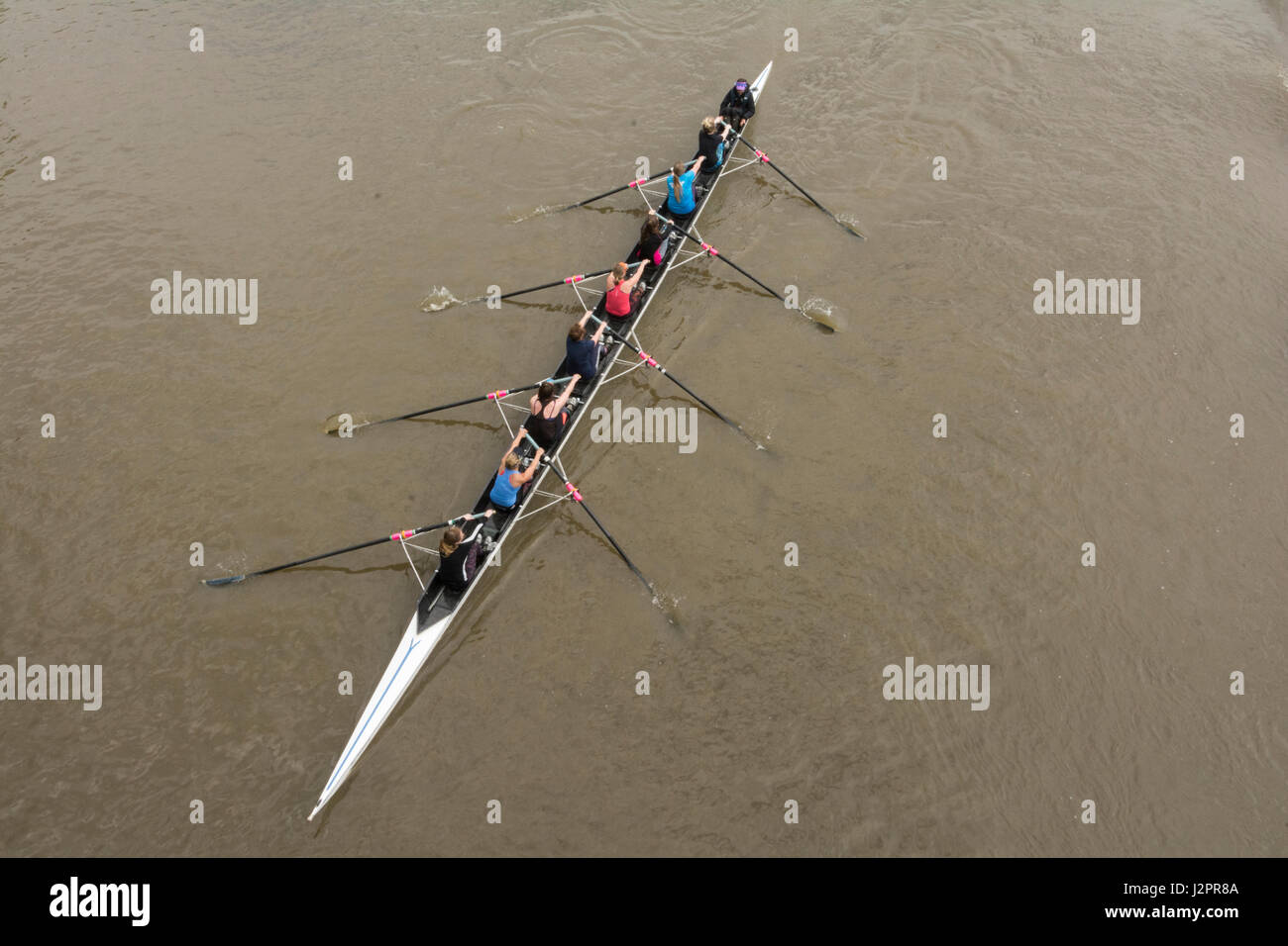 Ein Ruderboot acht auf der Themse in London, England, UK Stockfoto
