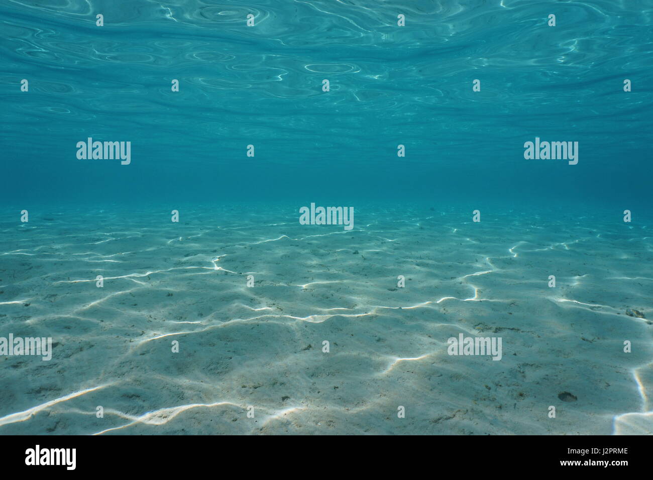 Sandigen Boden und Meer Oberfläche aus dem Wasser in einer tropischen Lagune, Pazifik, natürliche Szene, Französisch-Polynesien Stockfoto