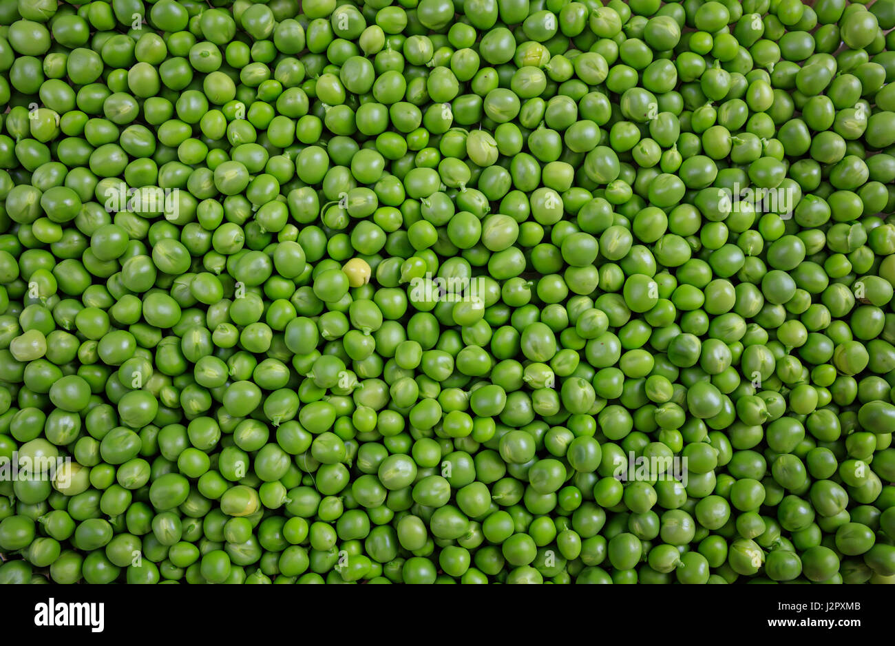 Frische grüne Erbsen roh Hintergrund - Draufsicht Stockfoto