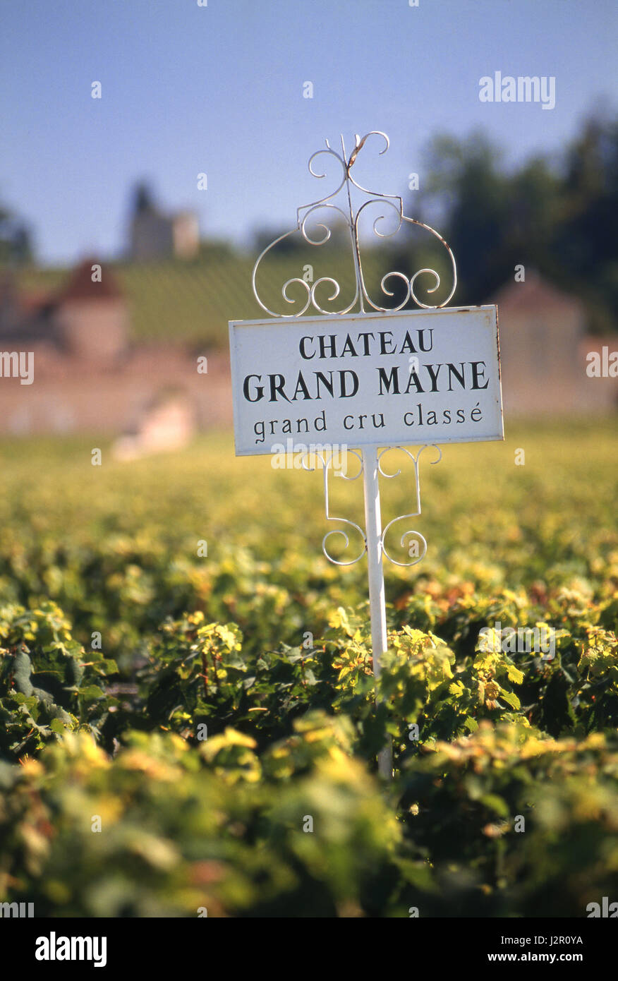 Château Grand Mayne Metallschild im Weinberg von Château Grand Mayne, St-Émilion, Gironde, Frankreich. Stockfoto