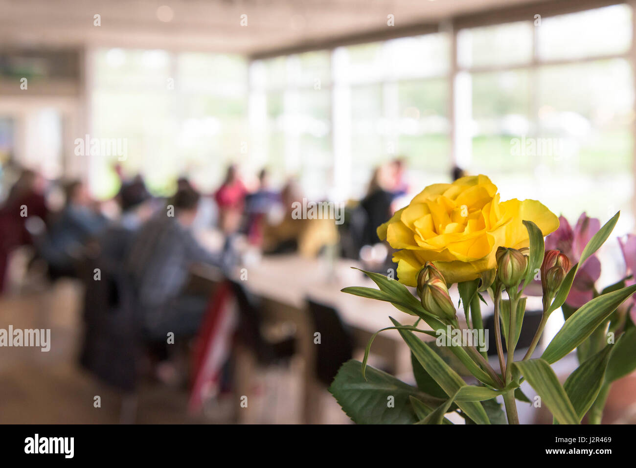 Restaurant innen Blume gelb Rose Bloom Tischdekorationen dekoriert hübsche bunte bunte Stockfoto