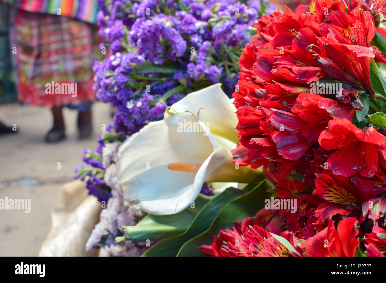 Blumen auf dem großen traditionellen Markt der eine kleine koloniale Totonicapan in Guatemala. Zentralamerika Stockfoto