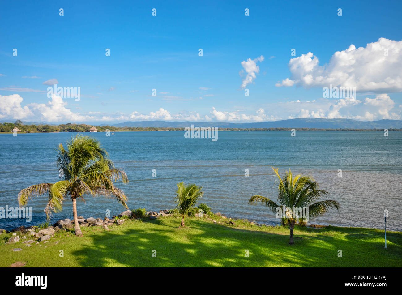 Grüner Wiese am Ufer des Sees izabal - der größte See in Guatemala Mittelamerika Stockfoto