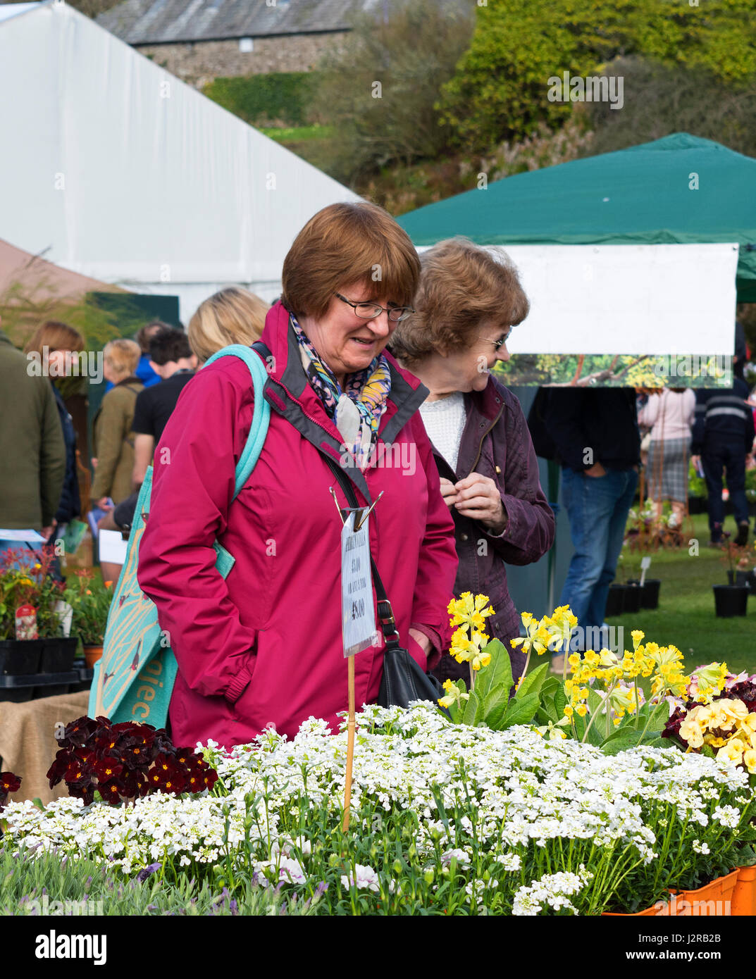 Zwei Frauen, die bei Pflanzen zum Verkauf an die Cornwall Spring Flower Show Stockfoto