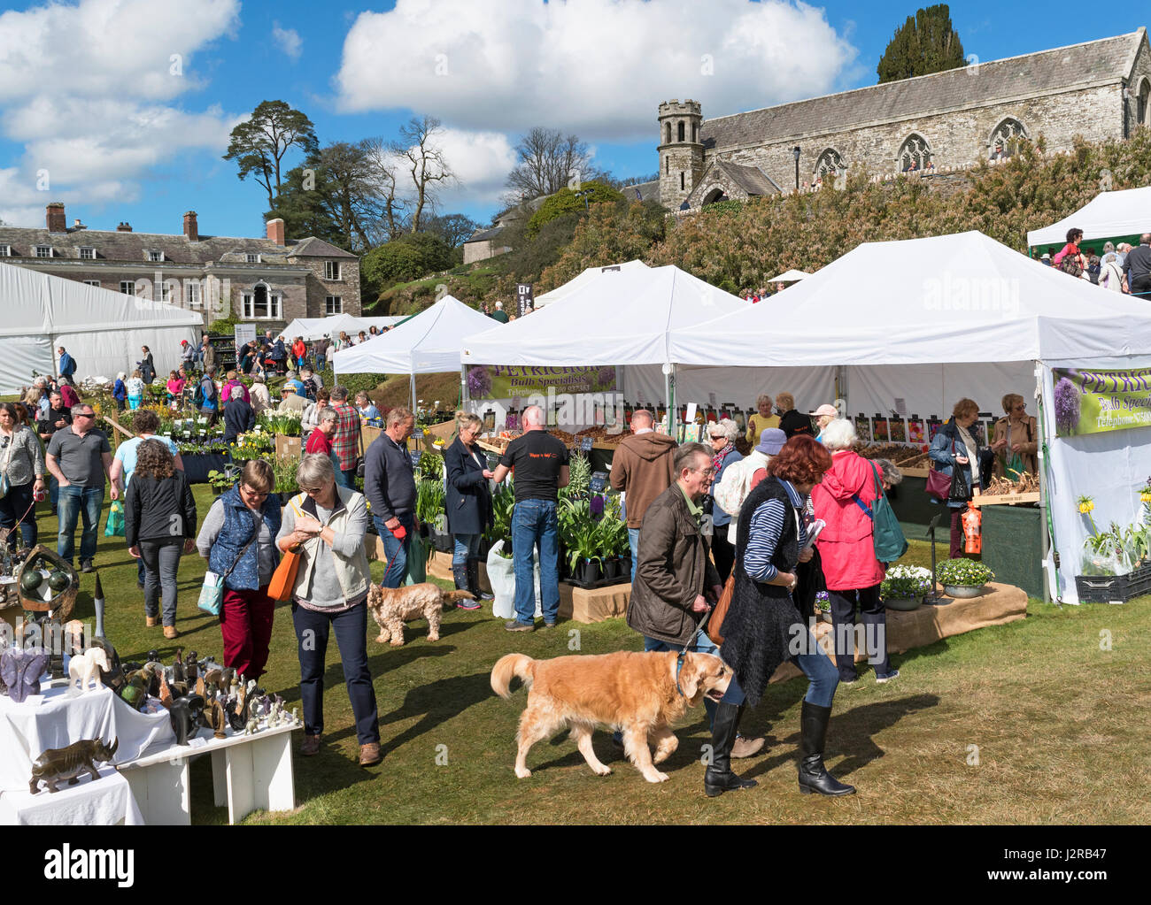 Besucher auf der Suche steht der Handel an die Cornwall Spring Flower Show, hielt jährlich im Boconnoc Haus. Stockfoto