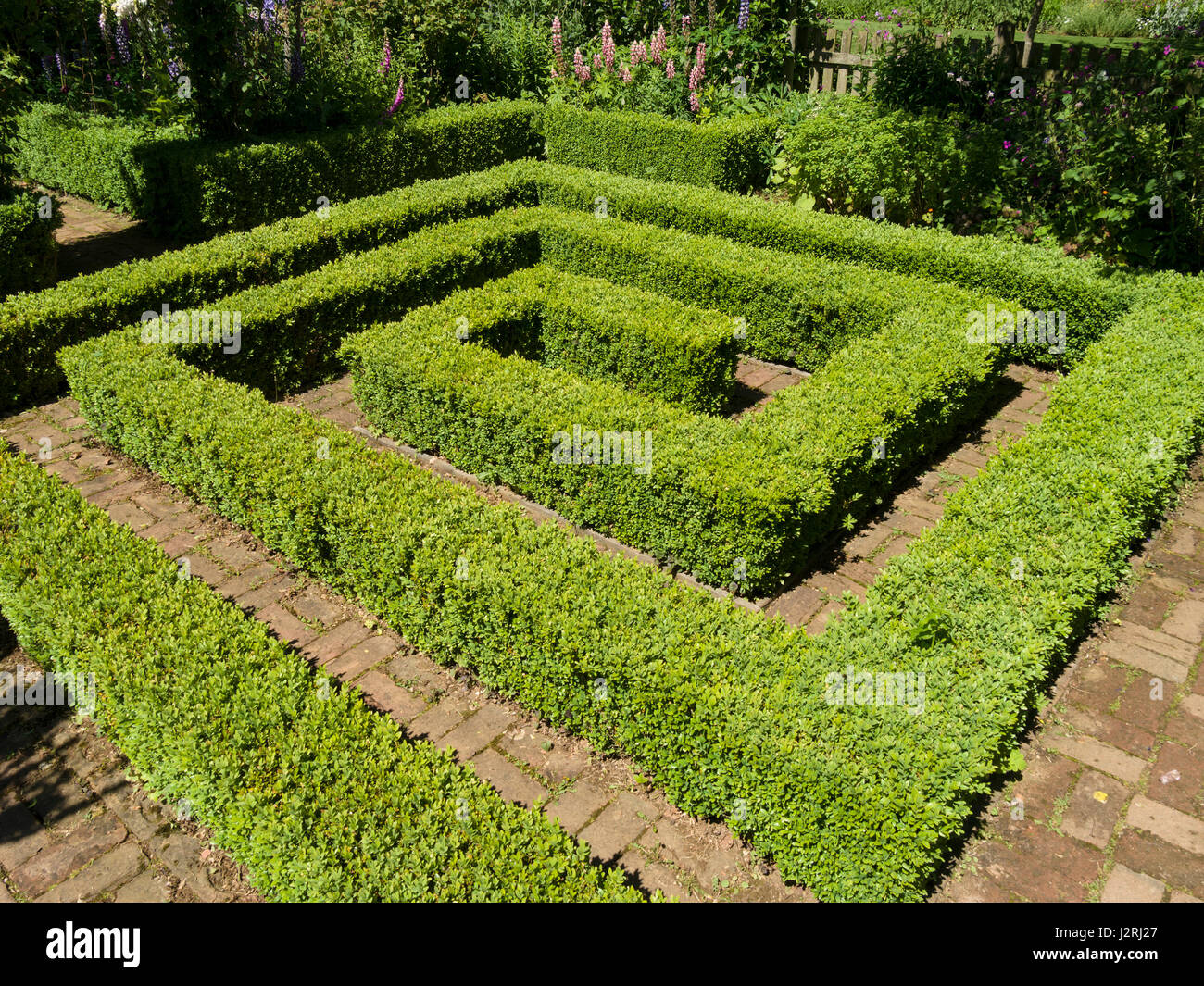 Quadratische Spirale der Box Eibe hedging mit Block Fertiger Pfad, Barnsdale Gärten, Oakham, Rutland, Leicestershire, England, UK Stockfoto