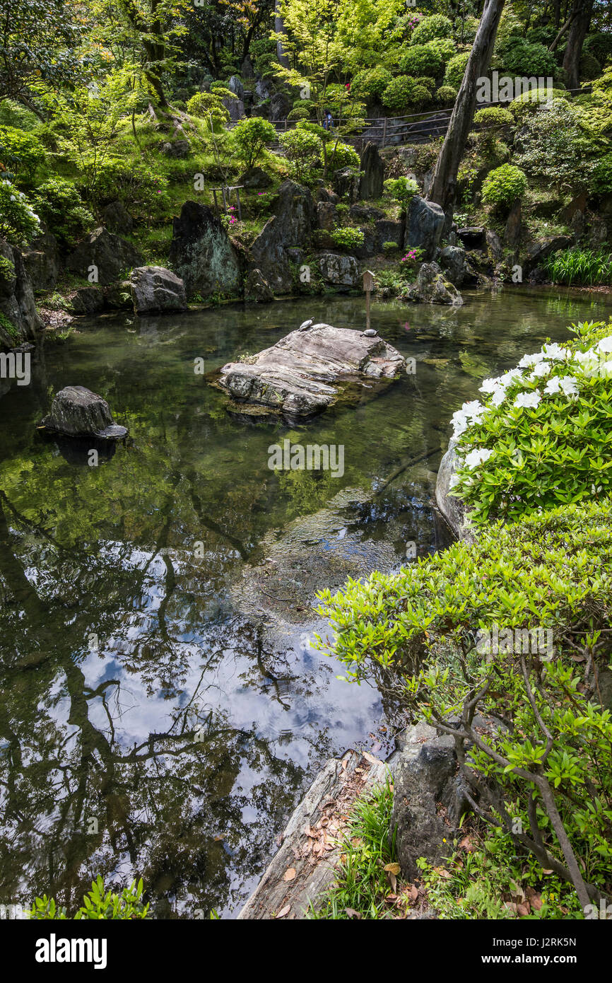Wakayama Schlossgarten ist ein raffinierter japanischer Garten auf dem Gelände des Wakayama-Jo. Offiziell wird der Garten als Momijidani Teien bezeichnet.  Es war b gebaut. Stockfoto