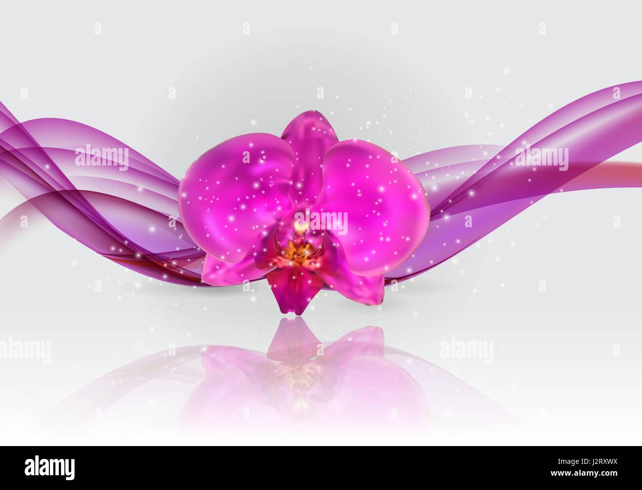 Filiale Blüten der Orchidee Pink. Vektor-Illustration. Stock Vektor