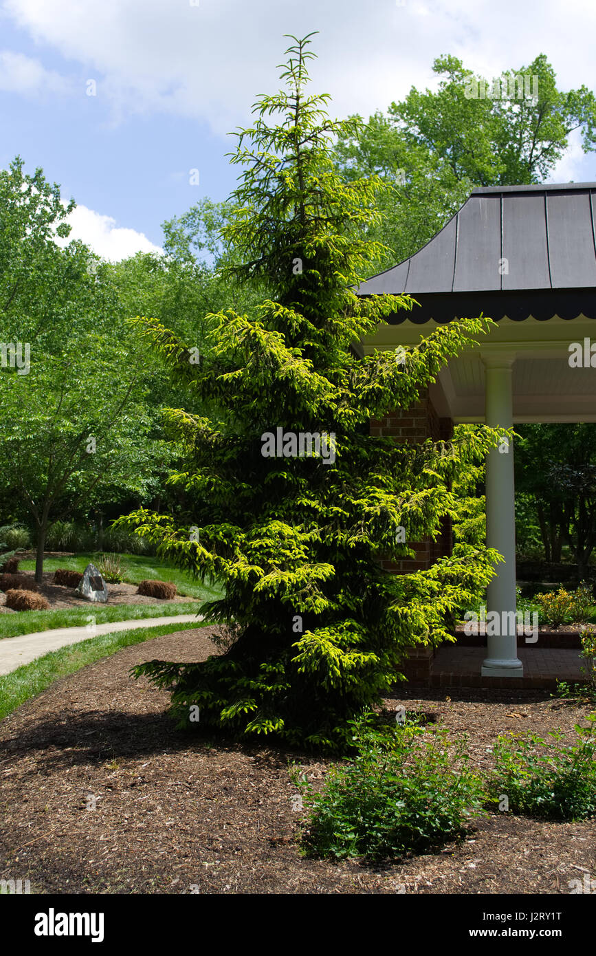 Nahaufnahme Fotos von Blumen, Pflanzen und Bäume Stockfoto