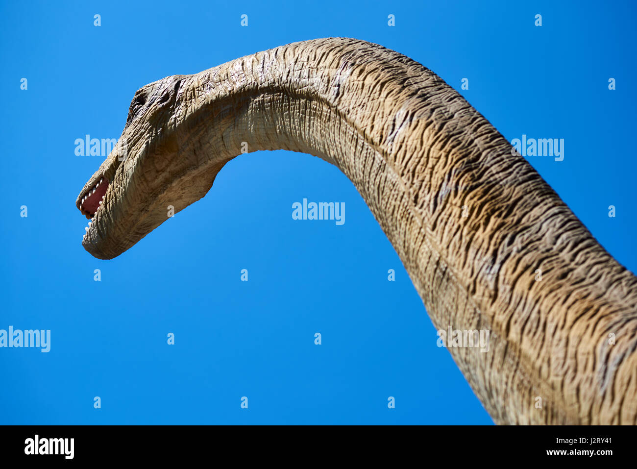 Algar, Spanien - 8. April 2017: Realistisches Modell eines Dinosauriers Diplodocus vor blauem Himmelshintergrund. DinoPark Algar ist eine einzigartige Unterhaltung und educa Stockfoto