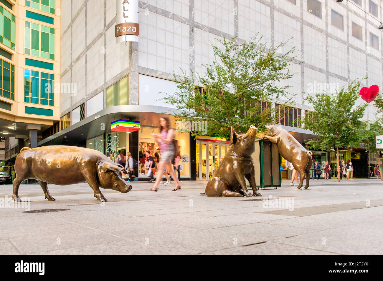 Adelaide, Australien - 5. April 2017: Vier berühmten Rundle Mall Schweine nach Restaurierung und Straßenbelags in Adelaide CBD an einem Tag.  Diese Skulpturen zu gewinnen Stockfoto