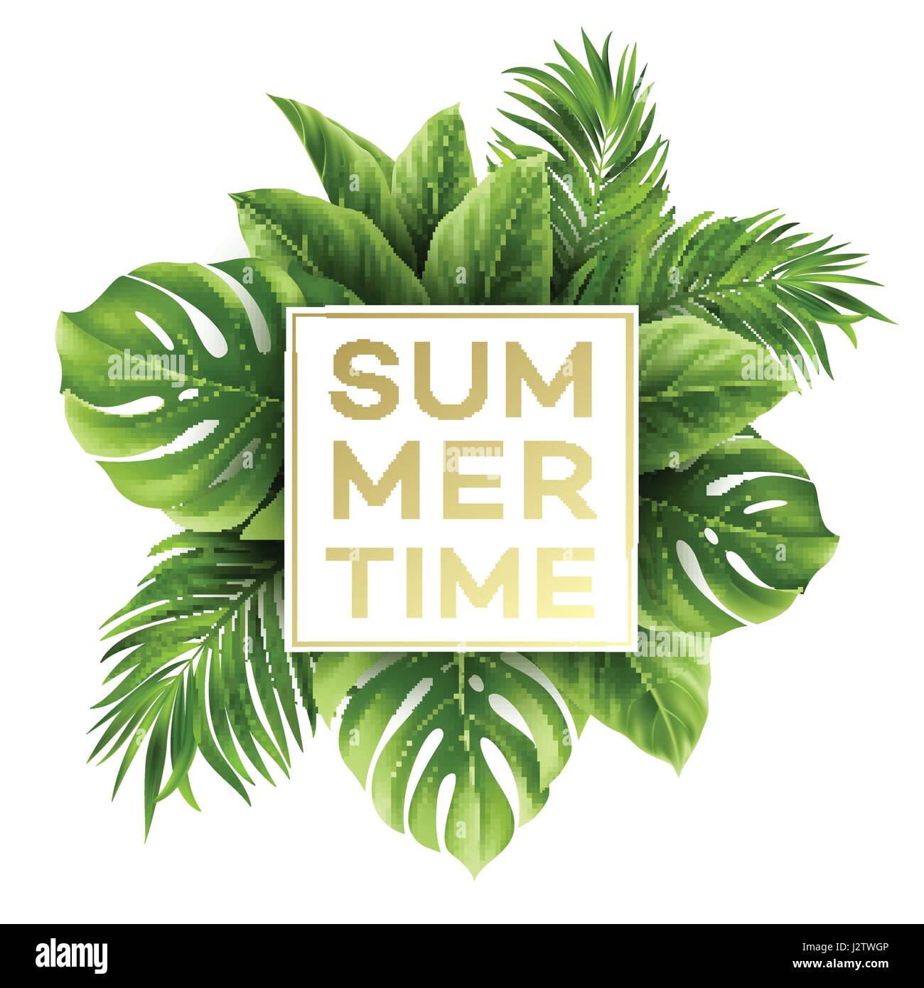 Sommer-Poster mit tropischen Palmblatt. Vektor-illustration Stock Vektor