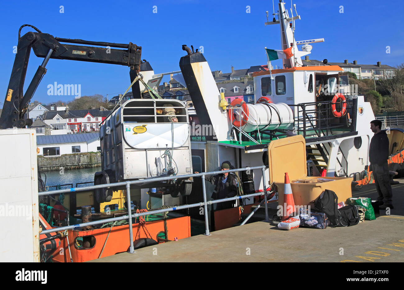 Kuh von Cape Clear entladen wird Fähre Baltimore Hafen, County Cork, Irland, Republik Irland Stockfoto