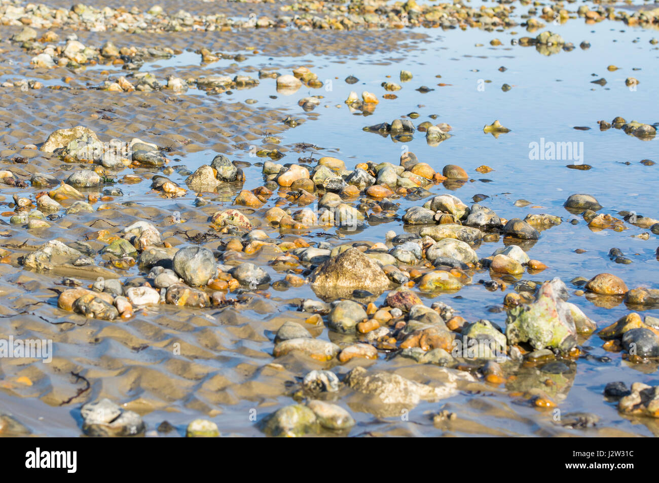 Ebbe auf einen Kiesstrand mit Steinen mit Pfützen übrig gebliebene vom Meer bedeckt. Stockfoto