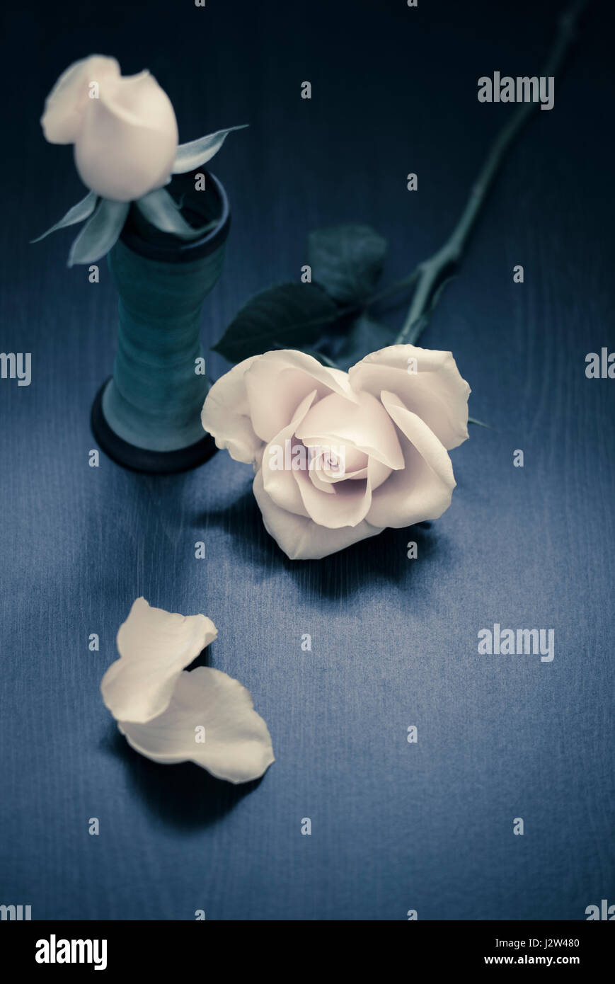 Rosa Rosen auf Holztisch Stockfoto