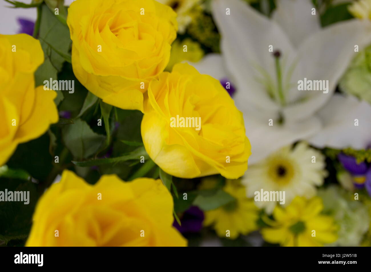 Blumenarrangement Stockfoto