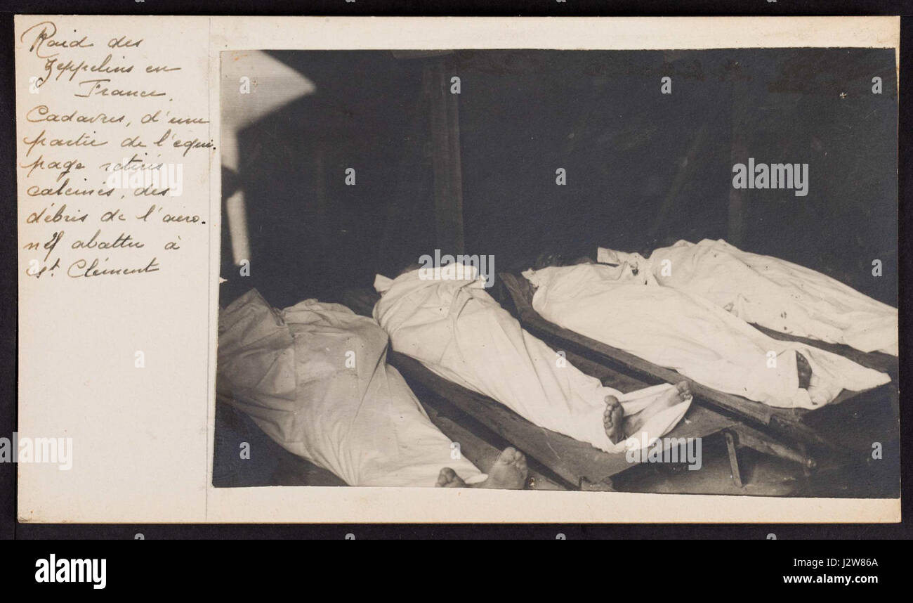 Verweis auf ein bestimmtes Dokument oder Element, das durch einen eindeutigen Code „1A1182101 283348XXXVI013“ gekennzeichnet ist, mit einer zugehörigen Bildnummer. Stockfoto