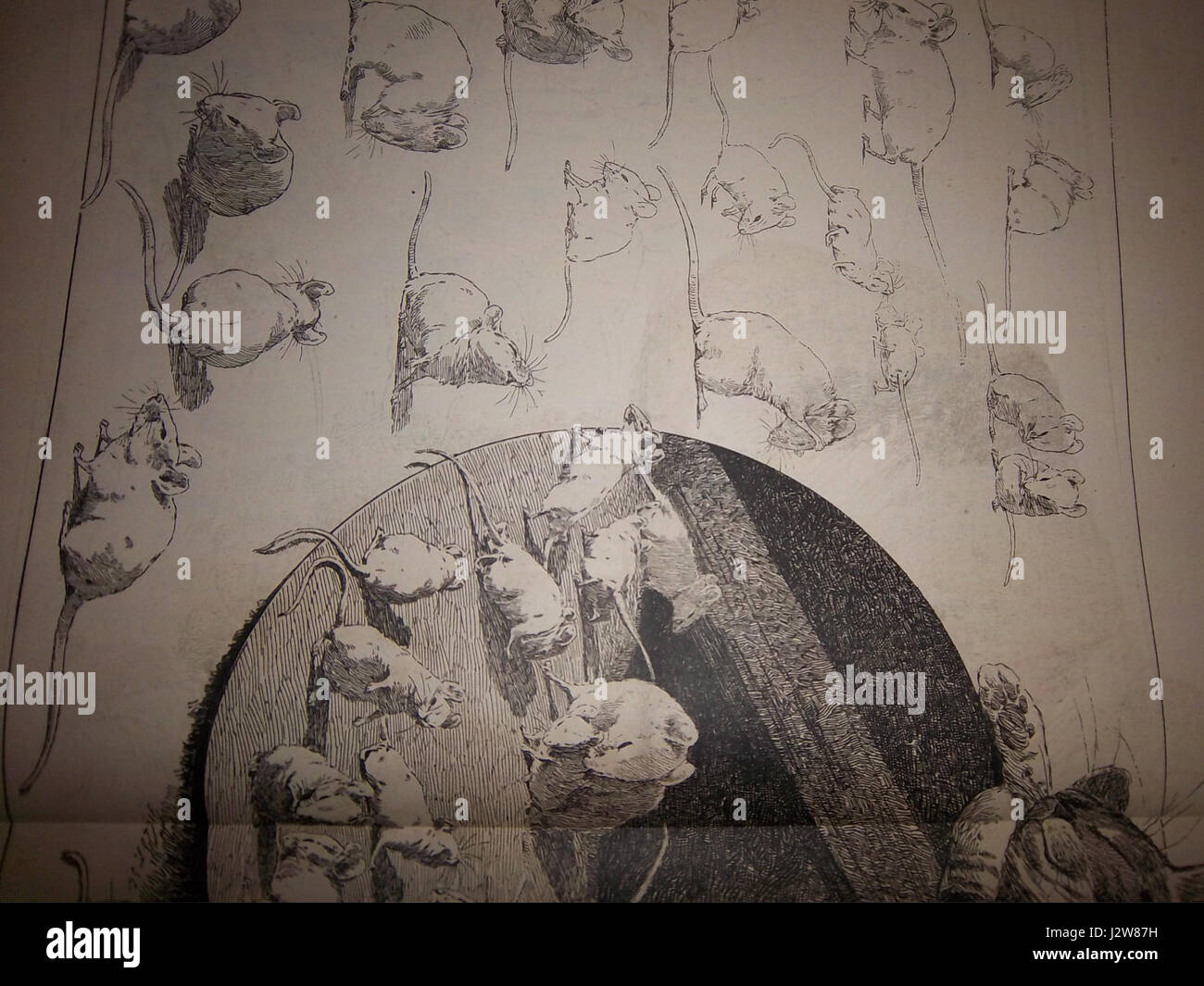 Ein berühmtes Kunstwerk von Steinlen, das 1884 eine Katze und Mäuse darstellt und den einzigartigen Stil des Künstlers und den Fokus auf Haustiere in der Kunst zeigt. Stockfoto