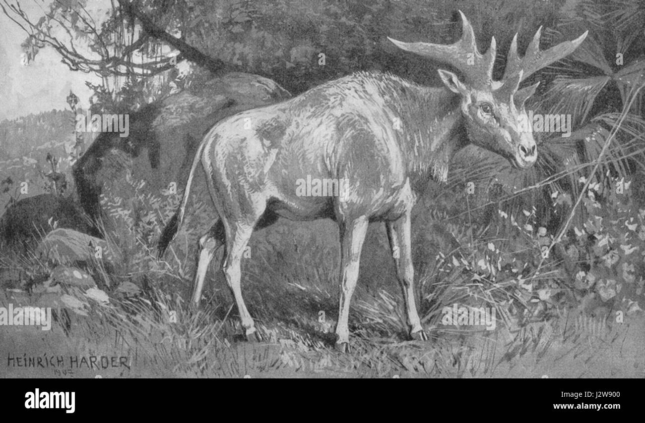 1907 500 Sivatherium Stockfoto