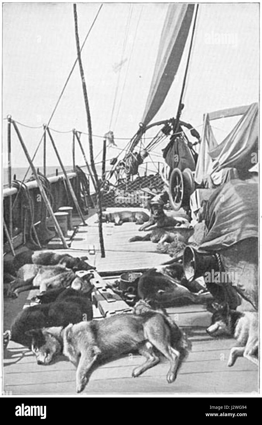Dieses Dokument oder Werk, „aan de Zuidpool“, das 1913 veröffentlicht wurde, erforscht wahrscheinlich den Südpol oder die Arktis und beschreibt Polarexpeditionen. Stockfoto
