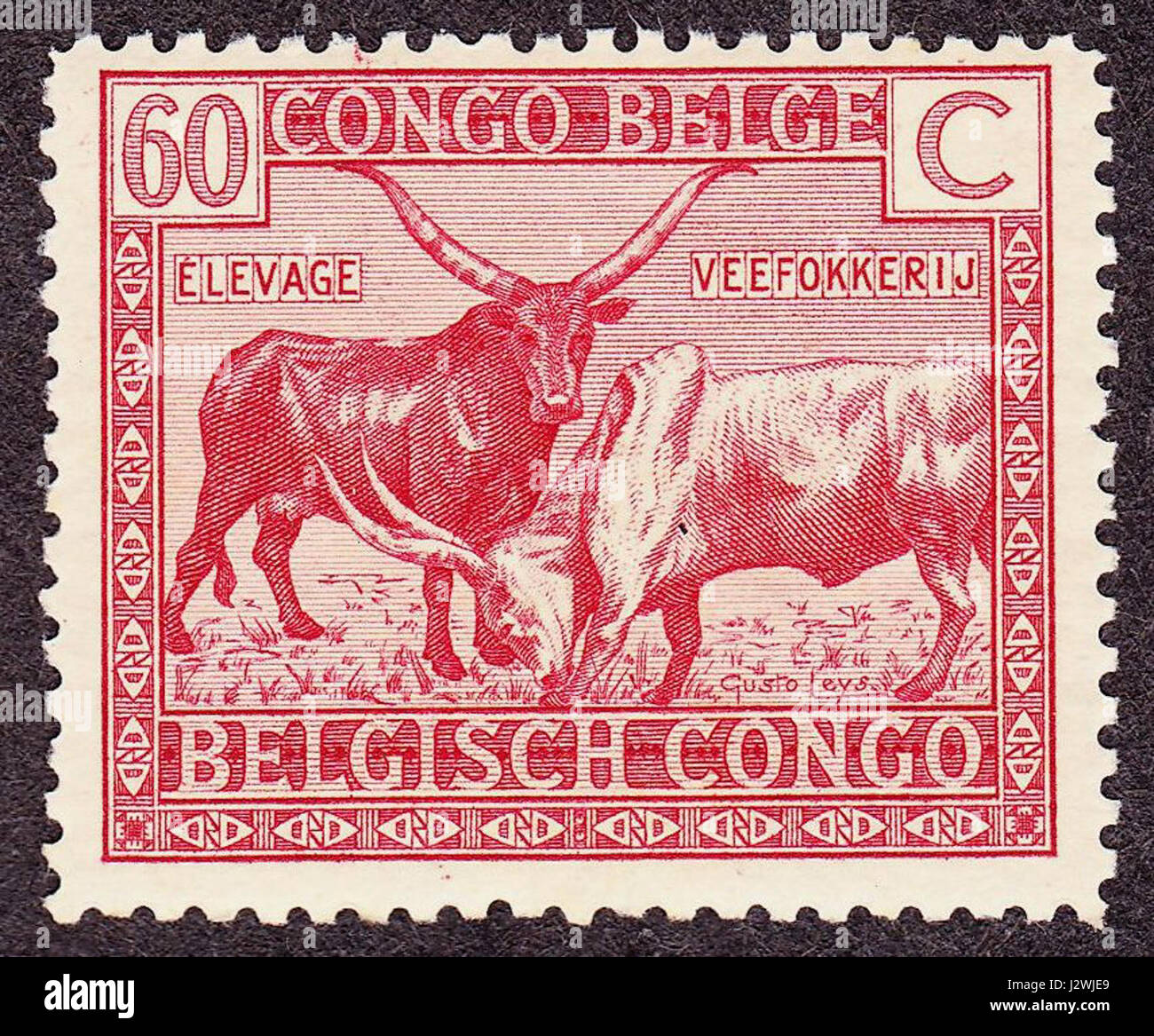 Belgisch-Kongo 1925 Ausgabe - 60c Stockfoto