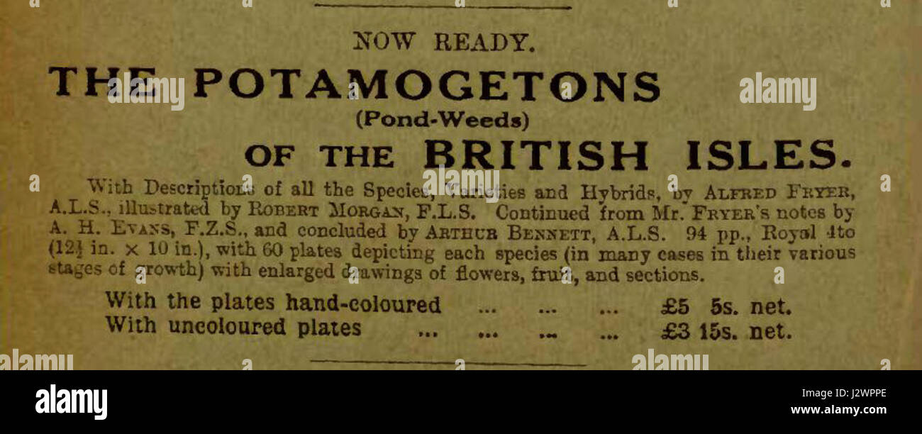 Alfred Fryer03 Stockfoto