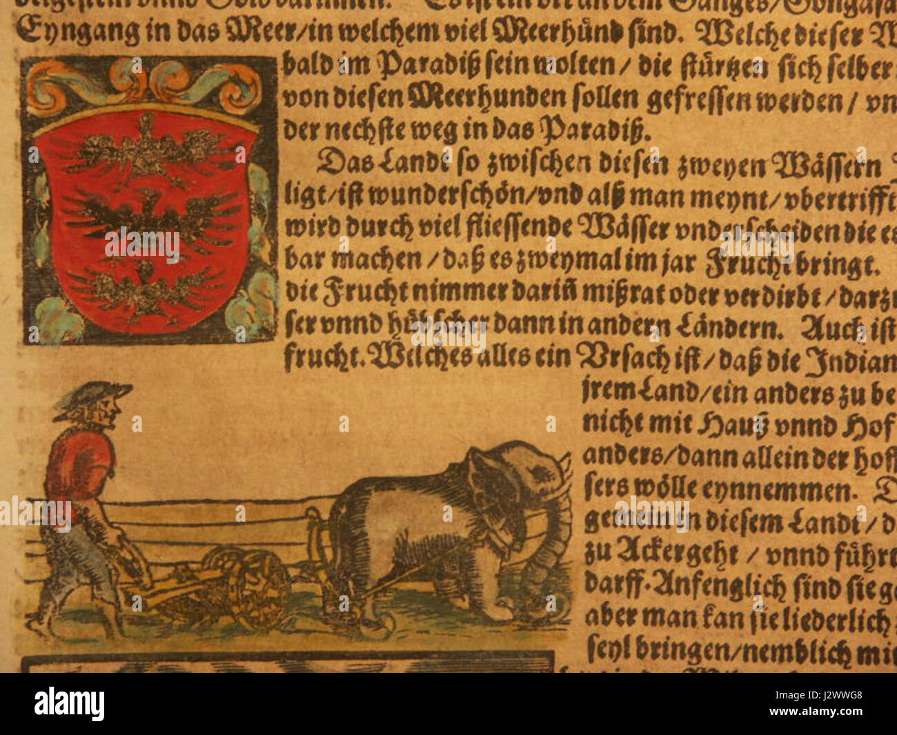 Ein Elefant aus einem späteren deutschen Ausgabe von 1628 Pflügen Stockfoto