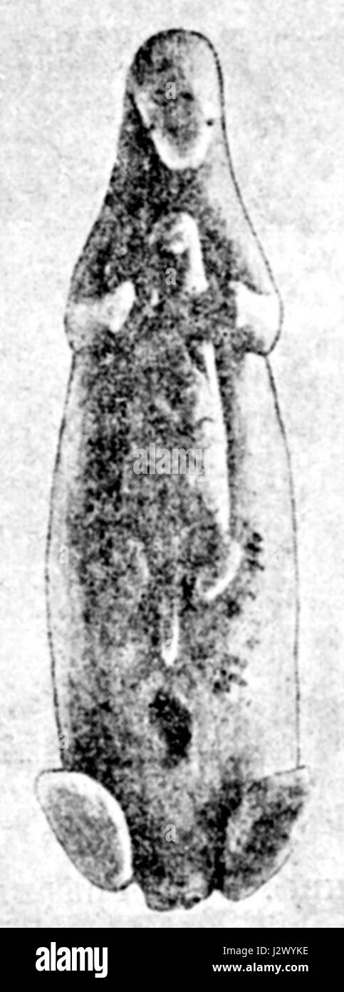 AleutKalan1 Stockfoto