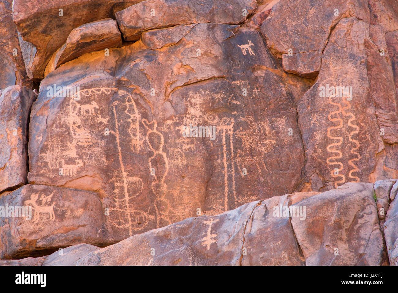 Petroglyphen entlang hieroglyphisch Trail, Superstition Wilderness, Tonto National Forest, Arizona Stockfoto