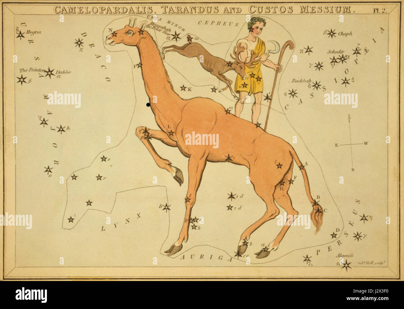 Dieser Bezug verweist auf astronomische und mythologische Begriffe. Camelopardalis ist eine Konstellation, tarandus bezieht sich auf eine Rentierart und Custos Messium ist ein lateinischer Begriff, der „Hüter der Felder“ bedeutet und wahrscheinlich auf antike Symbolik oder Mythologie verweist. Stockfoto