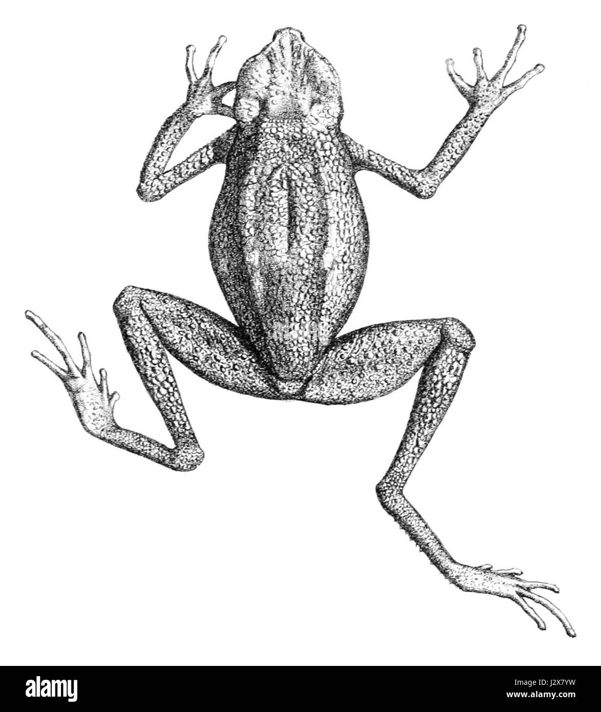 Ansonia karte Ausgeschnittene Stockfotos und bilder Alamy