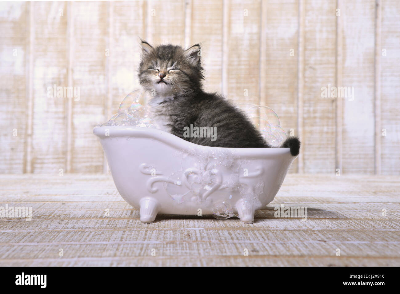 Badewanne Lustig Badewanne Lustig