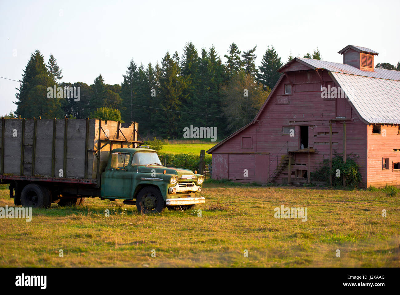 Alte rostiger LKW mit Sperrholzplatten auf einem Anhänger in einem Feld in der Nähe eine große rote hölzerne Scheune, hinter denen wächst immergrüne Bäume. Stockfoto