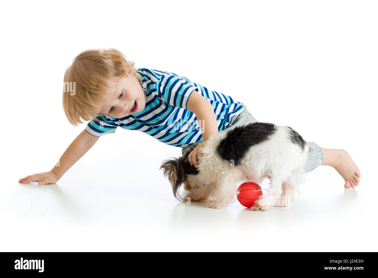 Kleiner Junge spielt mit Hund, isoliert auf weißem Hintergrund Stockfoto