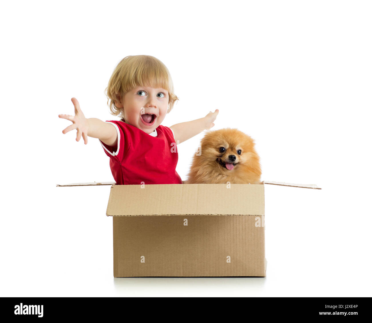 Lächelndes Kind und Hund in Cardbox isoliert auf weißem Hintergrund Stockfoto