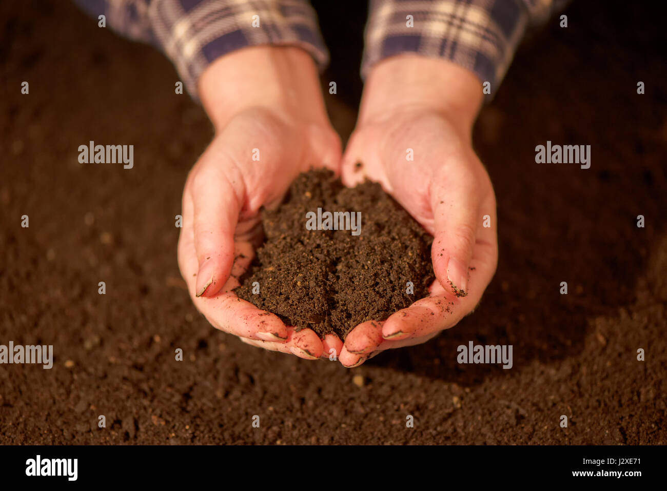 Handvoll Ackerboden in Händen der Verantwortlichen Bäuerin, Nahaufnahme, selektiven Fokus Stockfoto